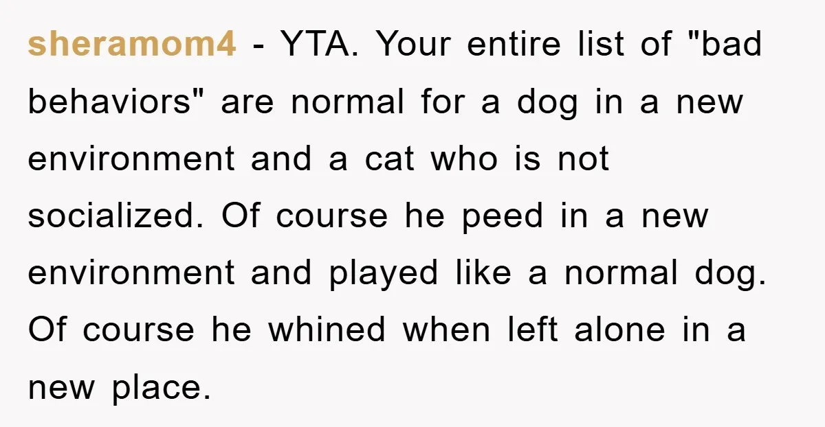 sheramom4 − YTA. Your entire list of "bad behaviors" are normal for a dog in a new environment and a cat who is not socialized. Of course he peed in...