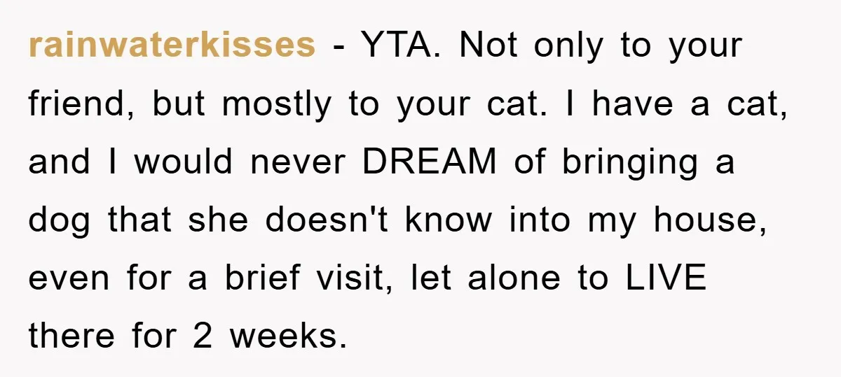 rainwaterkisses − YTA. Not only to your friend, but mostly to your cat. I have a cat, and I would never DREAM of bringing a dog that she doesn't know...