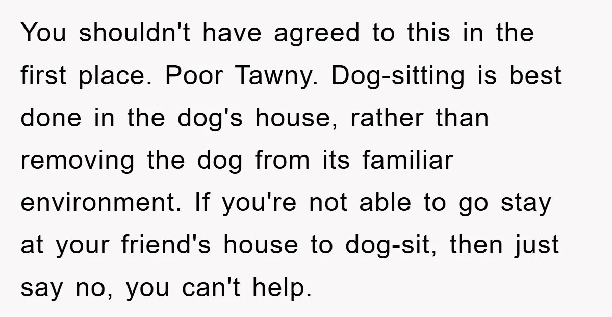 You shouldn't have agreed to this in the first place. Poor Tawny. Dog-sitting is best done in the dog's house, rather than removing the dog from its familiar environment. If...