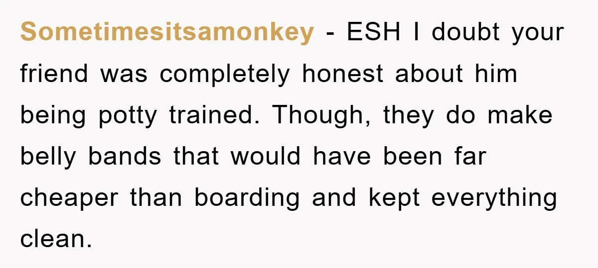 Sometimesitsamonkey − ESH I doubt your friend was completely honest about him being potty trained. Though, they do make belly bands that would have been far cheaper than boarding and...