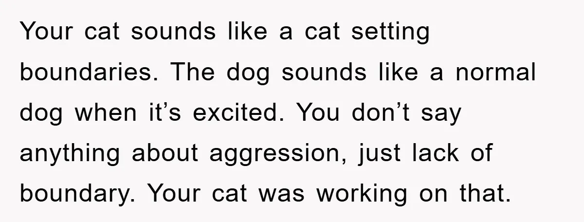 Your cat sounds like a cat setting boundaries. The dog sounds like a normal dog when it’s excited. You don’t say anything about aggression, just lack of boundary. Your cat...
