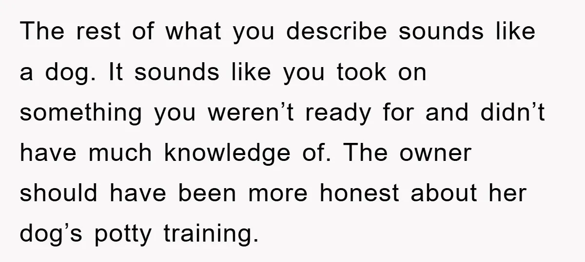 The rest of what you describe sounds like a dog. It sounds like you took on something you weren’t ready for and didn’t have much knowledge of. The owner should...