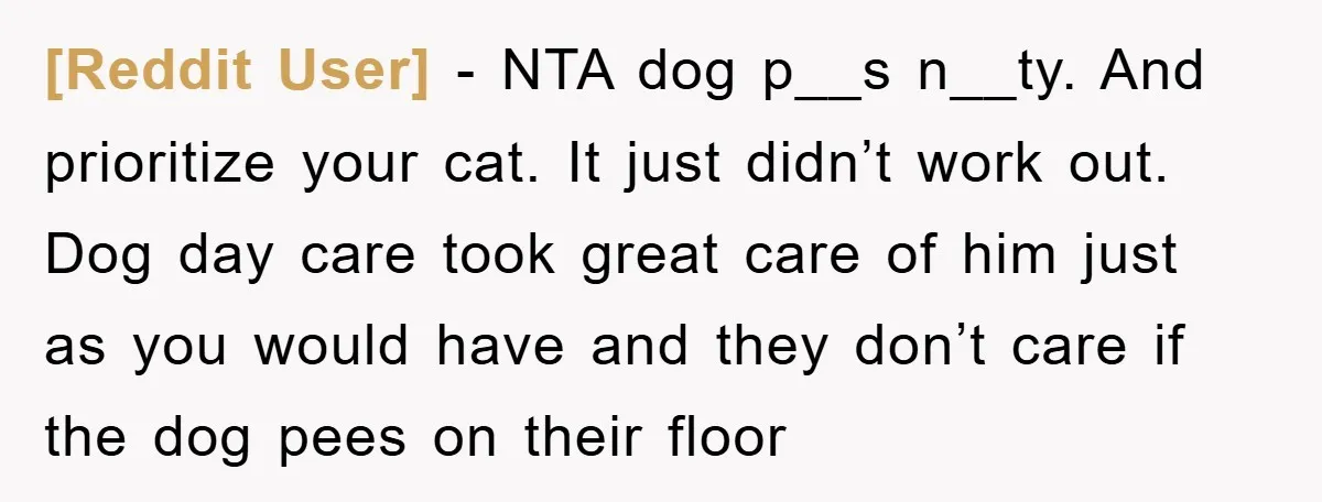 [Reddit User] − NTA dog p__s n__ty. And prioritize your cat. It just didn’t work out. Dog day care took great care of him just as you would have and...