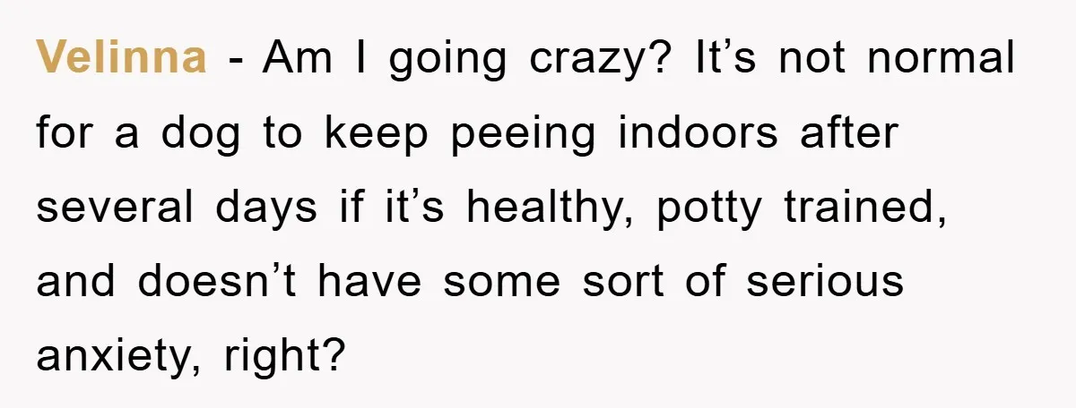 Velinna − Am I going crazy? It’s not normal for a dog to keep peeing indoors after several days if it’s healthy, potty trained, and doesn’t have some sort of...