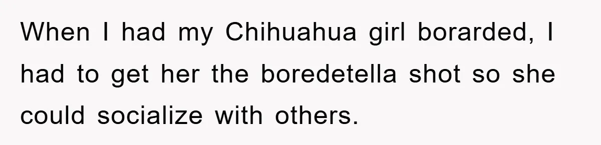 When I had my Chihuahua girl borarded, I had to get her the boredetella shot so she could socialize with others.