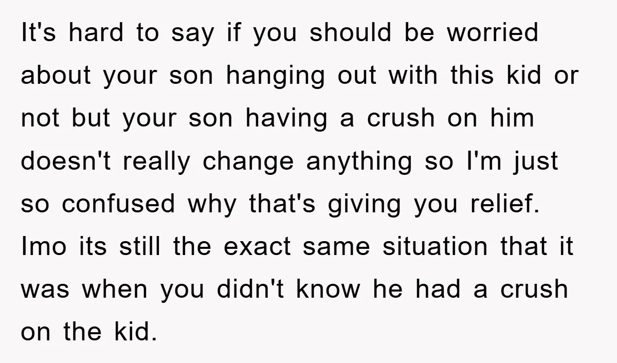 It's hard to say if you should be worried about your son hanging out with this kid or not but your son having a crush on him doesn't really change...