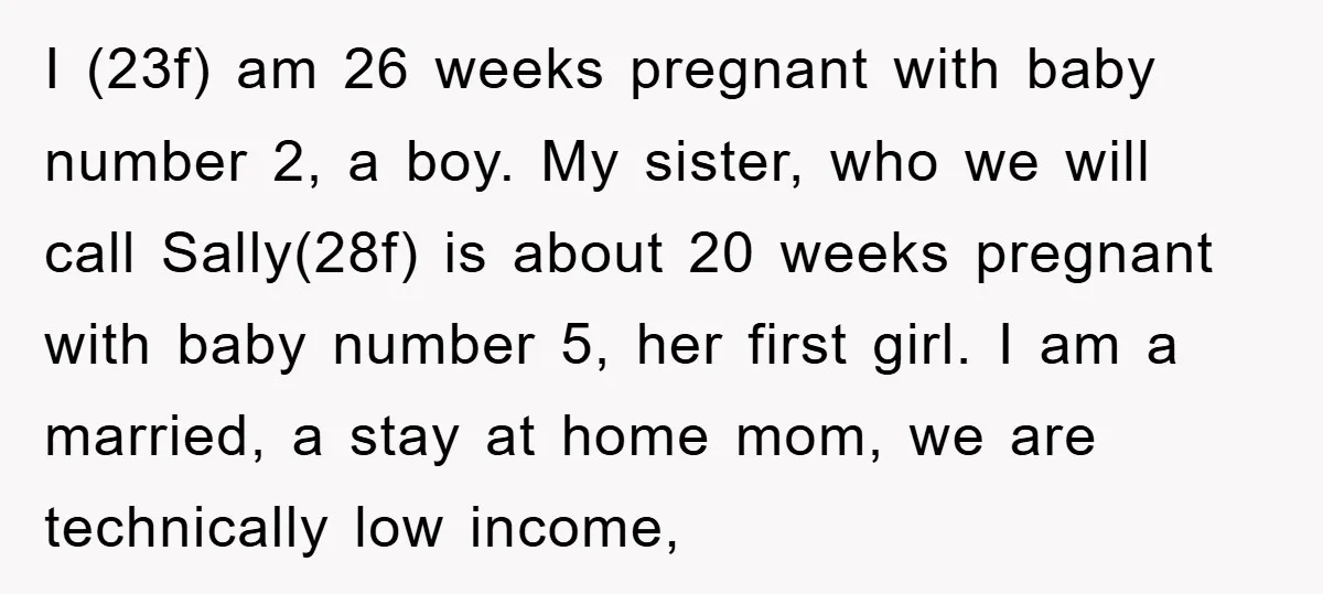 I (23f) am 26 weeks pregnant with baby number 2, a boy. My sister, who we will call Sally(28f) is about 20 weeks pregnant with baby number 5, her first...