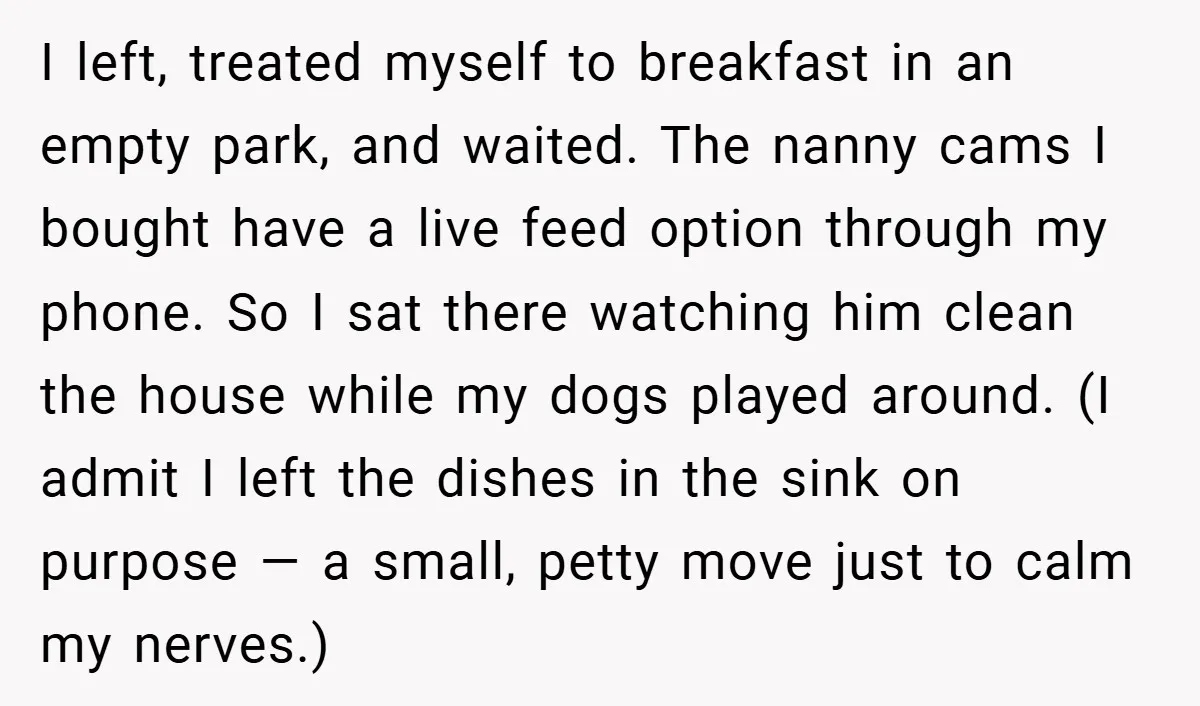 I left, treated myself to breakfast in an empty park, and waited. The nanny cams I bought have a live feed option through my phone. So I sat there watching...