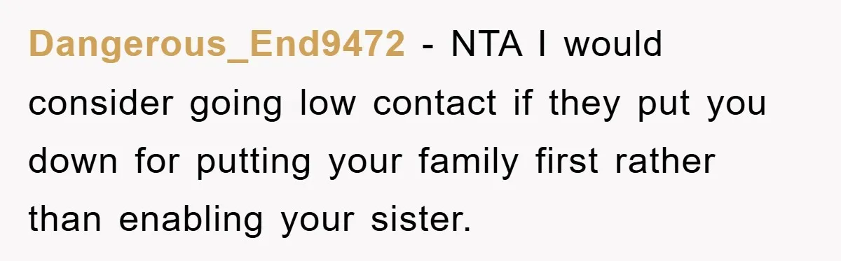 Dangerous_End9472 − NTA I would consider going low contact if they put you down for putting your family first rather than enabling your sister.