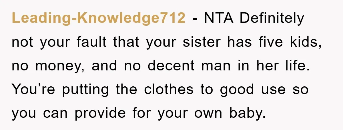 Leading-Knowledge712 − NTA Definitely not your fault that your sister has five kids, no money, and no decent man in her life. You’re putting the clothes to good use so...