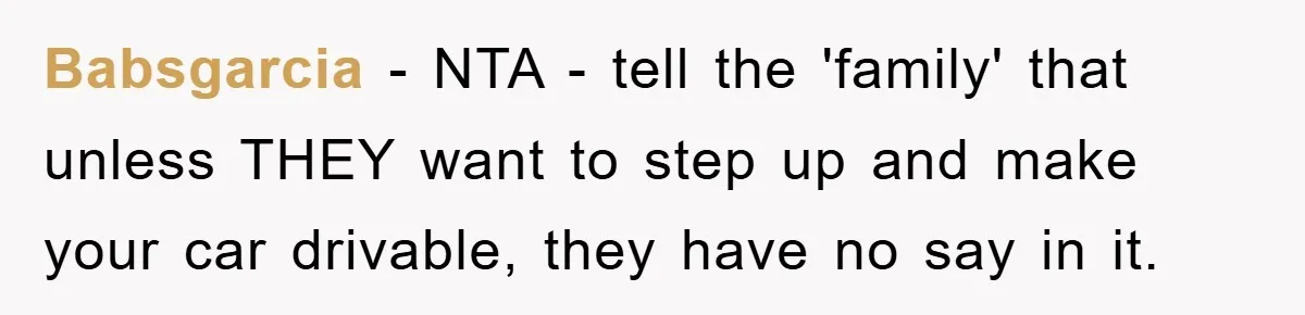 Babsgarcia − NTA - tell the 'family' that unless THEY want to step up and make your car drivable, they have no say in it.