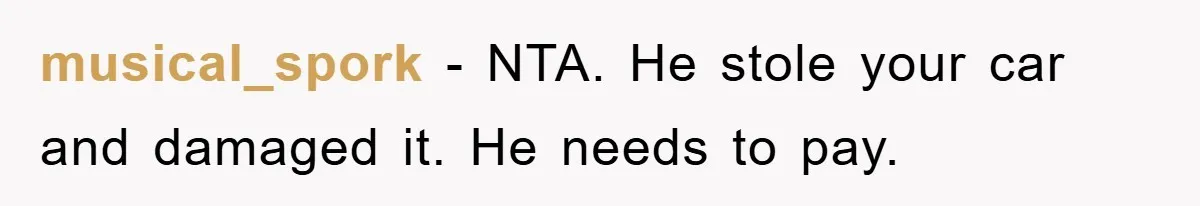 musical_spork − NTA. He stole your car and damaged it. He needs to pay.