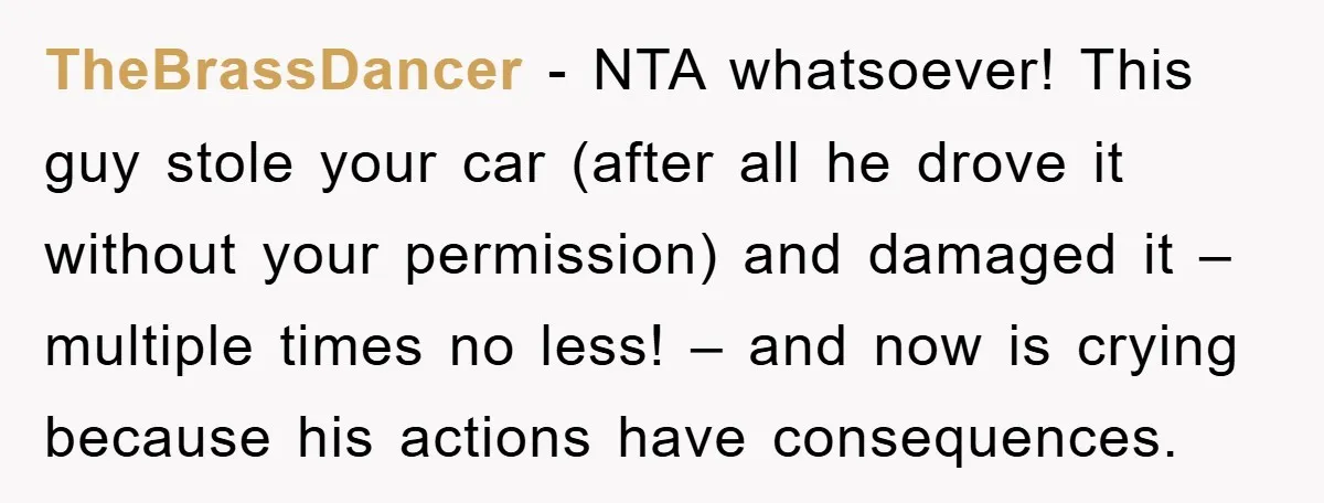 TheBrassDancer − NTA whatsoever! This guy stole your car (after all he drove it without your permission) and damaged it – multiple times no less! – and now is crying...