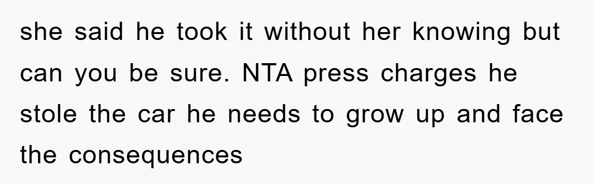 she said he took it without her knowing but can you be sure. NTA press charges he stole the car he needs to grow up and face the consequences
