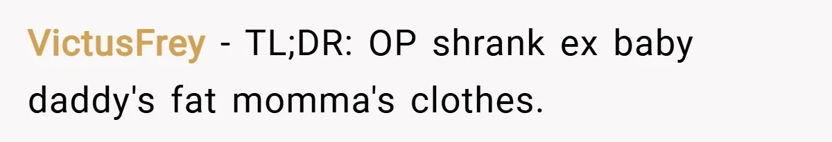 VictusFrey − TL;DR: OP shrank ex baby daddy's fat momma's clothes.