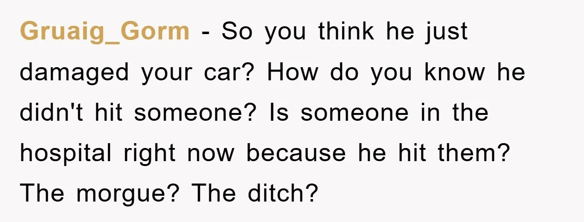 Gruaig_Gorm − So you think he just damaged your car? How do you know he didn't hit someone? Is someone in the hospital right now because he hit them? The...