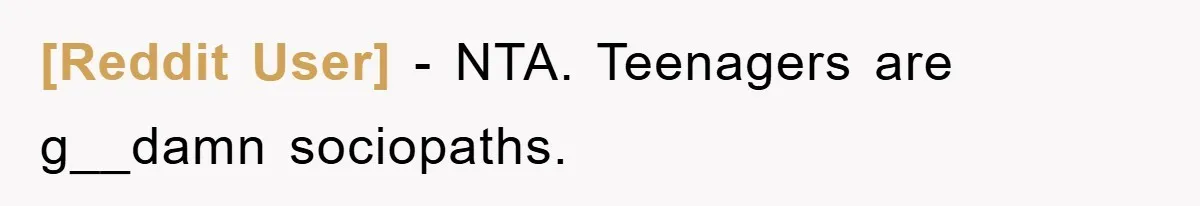 [Reddit User] − NTA. Teenagers are g__damn sociopaths.