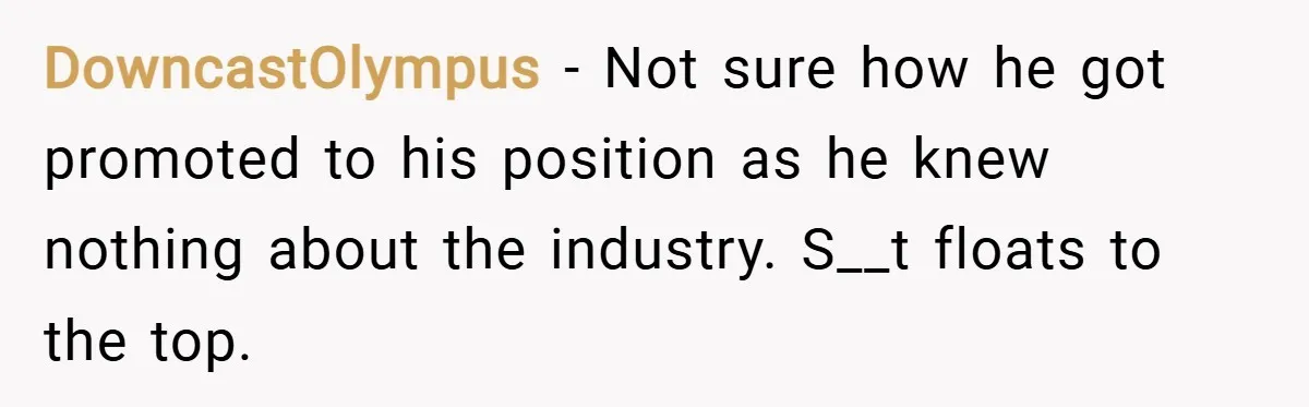 DowncastOlympus − Not sure how he got promoted to his position as he knew nothing about the industry. S__t floats to the top.