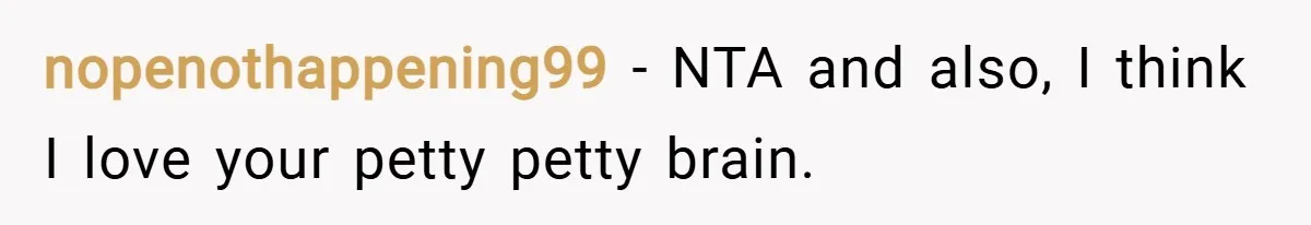 nopenothappening99 − NTA and also, I think I love your petty petty brain.