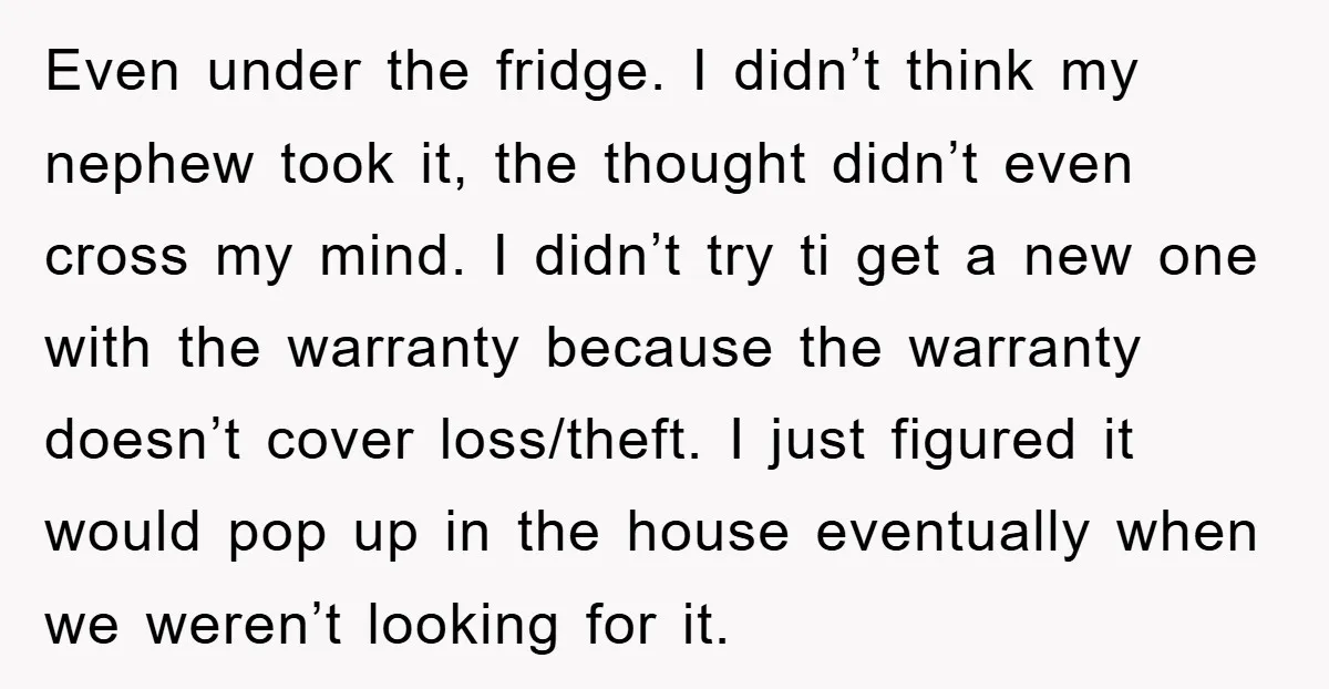 Even under the fridge. I didn’t think my nephew took it, the thought didn’t even cross my mind. I didn’t try ti get a new one with the warranty because...