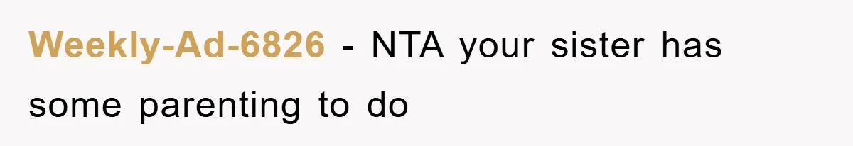 Weekly-Ad-6826 − NTA your sister has some parenting to do