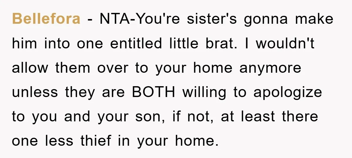 Bellefora − NTA-You're sister's gonna make him into one entitled little brat. I wouldn't allow them over to your home anymore unless they are BOTH willing to apologize to you...