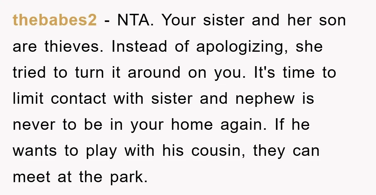 thebabes2 − NTA. Your sister and her son are thieves. Instead of apologizing, she tried to turn it around on you. It's time to limit contact with sister and nephew...