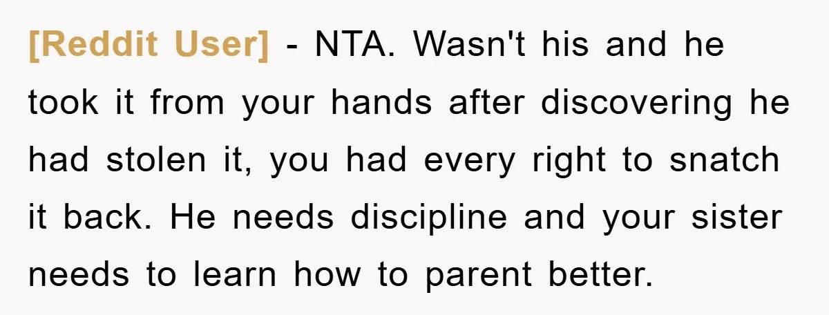 [Reddit User] − NTA. Wasn't his and he took it from your hands after discovering he had stolen it, you had every right to snatch it back. He needs discipline...