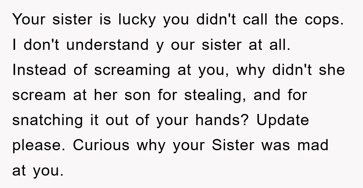 Your sister is lucky you didn't call the cops. I don't understand y our sister at all. Instead of screaming at you, why didn't she scream at her son for...