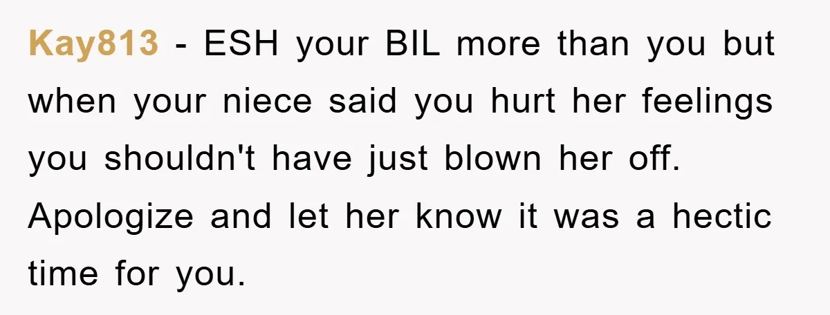 Kay813 − ESH your BIL more than you but when your niece said you hurt her feelings you shouldn't have just blown her off. Apologize and let her know it...