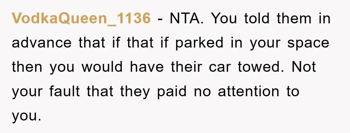 VodkaQueen_1136 − NTA. You told them in advance that if that if parked in your space then you would have their car towed. Not your fault that they paid no...