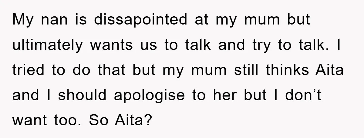My nan is dissapointed at my mum but ultimately wants us to talk and try to talk. I tried to do that but my mum still thinks Aita and I...