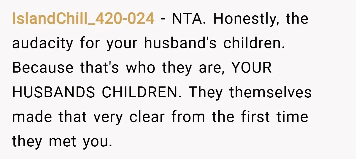 IslandChill_420-024 − NTA. Honestly, the audacity for your husband's children. Because that's who they are, YOUR HUSBANDS CHILDREN. They themselves made that very clear from the first time they met...