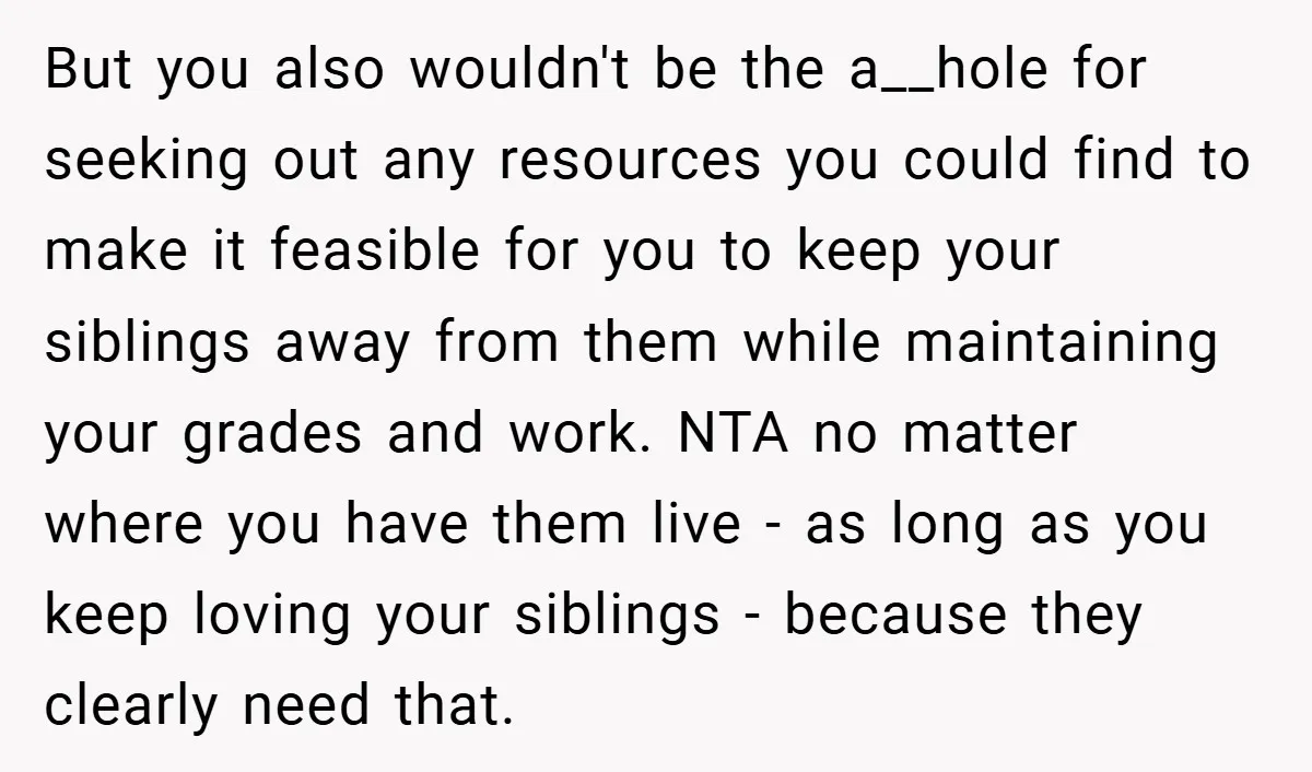 But you also wouldn't be the a__hole for seeking out any resources you could find to make it feasible for you to keep your siblings away from them while maintaining...