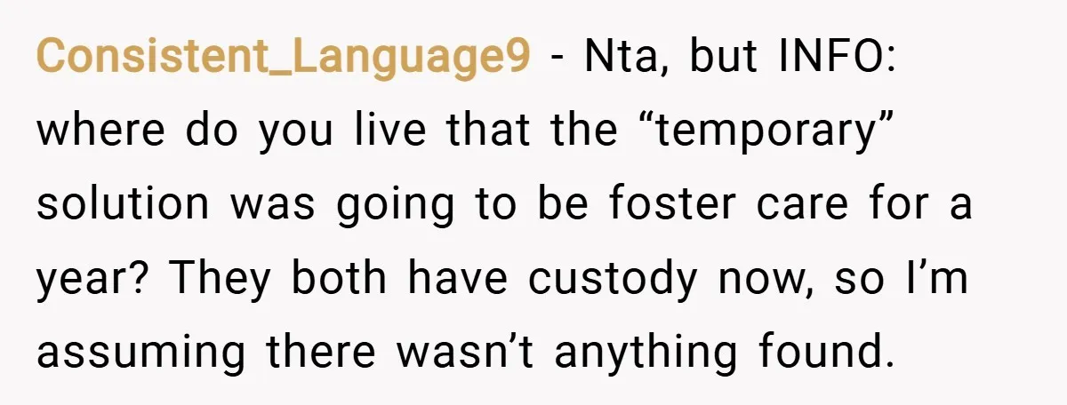 Consistent_Language9 − Nta, but INFO: where do you live that the “temporary” solution was going to be foster care for a year? They both have custody now, so I’m assuming...
