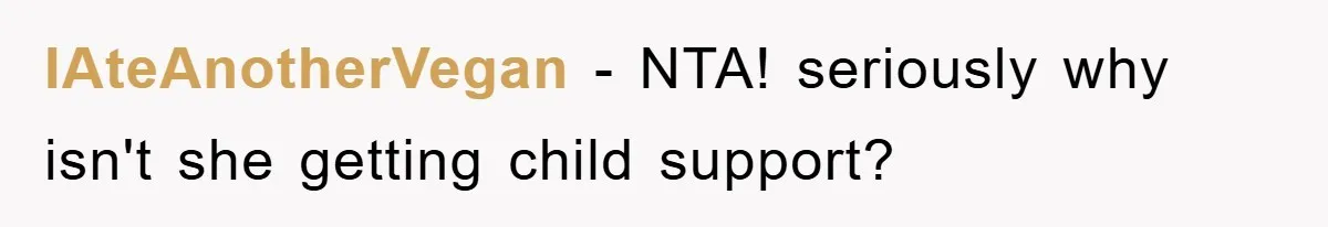 IAteAnotherVegan − NTA! seriously why isn't she getting child support?