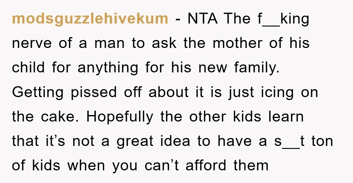 modsguzzlehivekum − NTA The f__king nerve of a man to ask the mother of his child for anything for his new family. Getting pissed off about it is just icing...