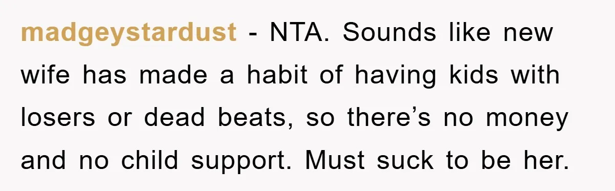 madgeystardust − NTA. Sounds like new wife has made a habit of having kids with losers or dead beats, so there’s no money and no child support. Must suck to...