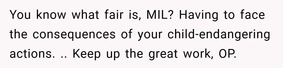 You know what fair is, MIL? Having to face the consequences of your child-endangering actions. .. Keep up the great work, OP.
