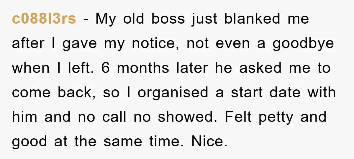 c088l3rs − My old boss just blanked me after I gave my notice, not even a goodbye when I left. 6 months later he asked me to come back, so...