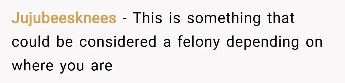 Jujubeesknees − This is something that could be considered a felony depending on where you are