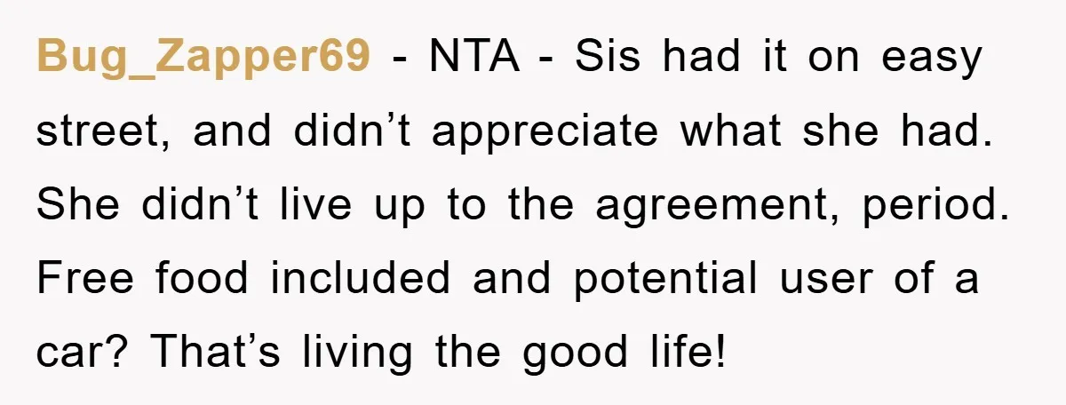 Bug_Zapper69 − NTA - Sis had it on easy street, and didn’t appreciate what she had. She didn’t live up to the agreement, period. Free food included and potential user...