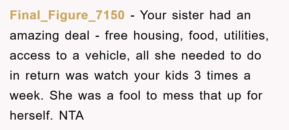 Final_Figure_7150 − Your sister had an amazing deal - free housing, food, utilities, access to a vehicle, all she needed to do in return was watch your kids 3 times...