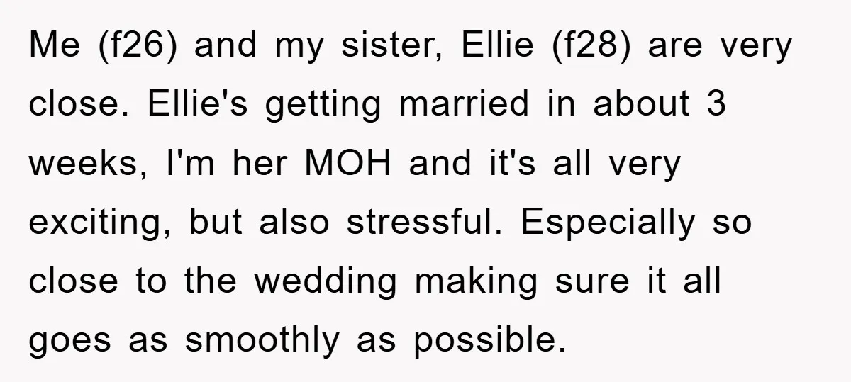 Me (f26) and my sister, Ellie (f28) are very close. Ellie's getting married in about 3 weeks, I'm her MOH and it's all very exciting, but also stressful. Especially so...