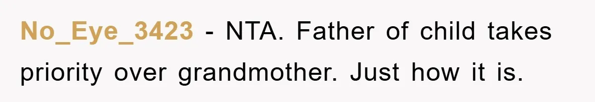 No_Eye_3423 − NTA. Father of child takes priority over grandmother. Just how it is.
