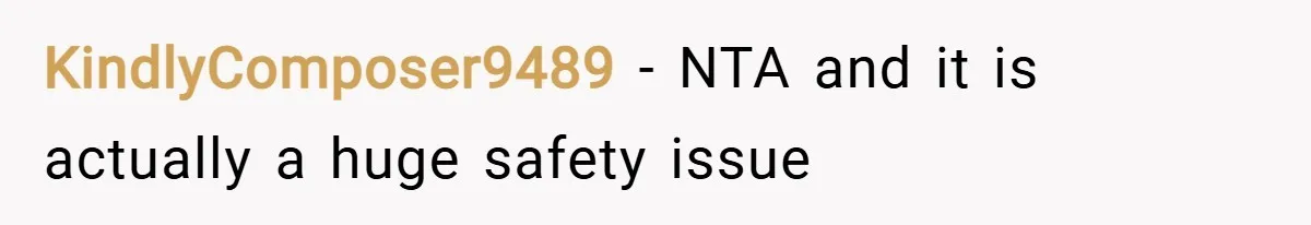 KindlyComposer9489 − NTA and it is actually a huge safety issue
