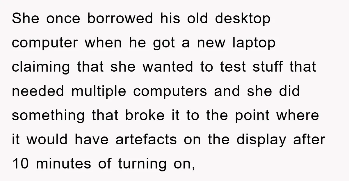 She once borrowed his old desktop computer when he got a new laptop claiming that she wanted to test stuff that needed multiple computers and she did something that broke...
