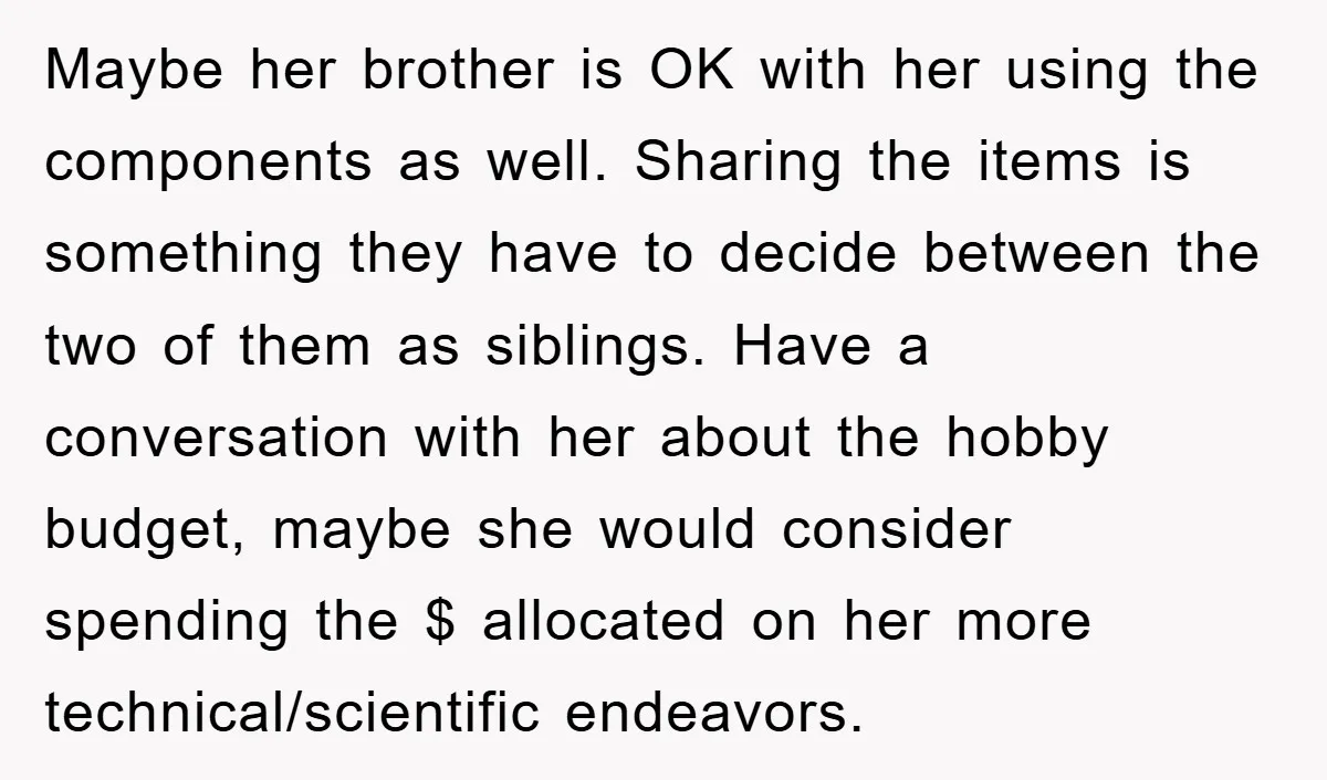 Maybe her brother is OK with her using the components as well. Sharing the items is something they have to decide between the two of them as siblings. Have a...
