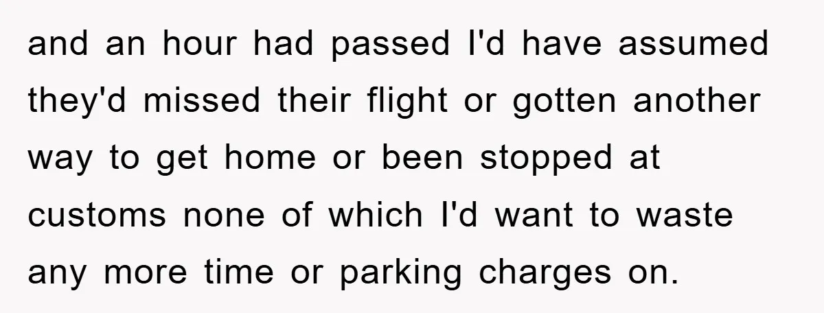 and an hour had passed I'd have assumed they'd missed their flight or gotten another way to get home or been stopped at customs none of which I'd want to...