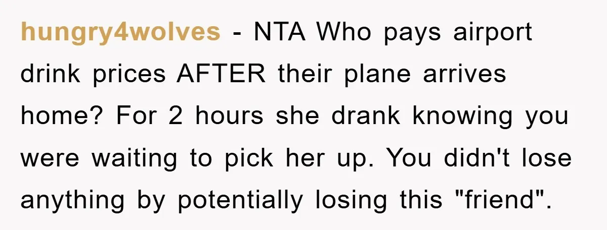 hungry4wolves − NTA Who pays airport drink prices AFTER their plane arrives home? For 2 hours she drank knowing you were waiting to pick her up. You didn't lose anything...